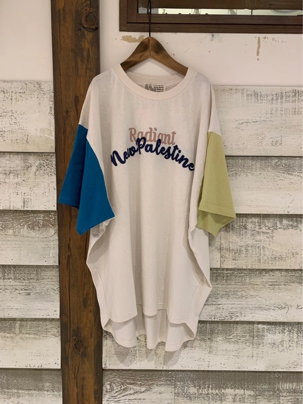 刺繍ドルマンT