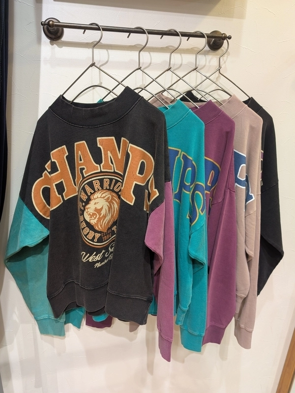 裏毛パウダー加工BigプリントPO