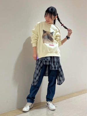 猫ちゃんトレーナー…!